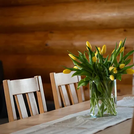 Apartament Drewutnia W Wisle *