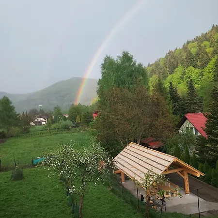 Drewutnia W Wiśle Wisła