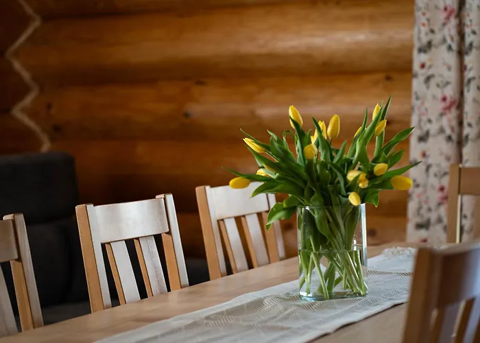 Apartment Drewutnia W Wisle *