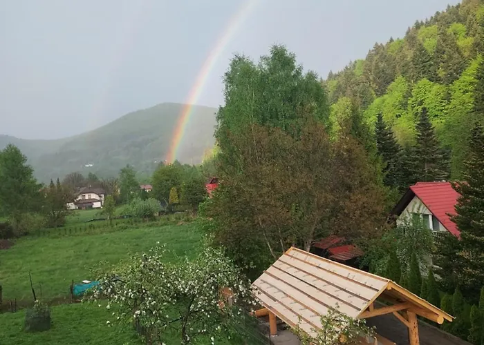 Drewutnia W Wisle Wisla