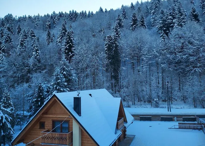 Drewutnia W Wisle Apartment